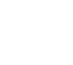 Brick Marta